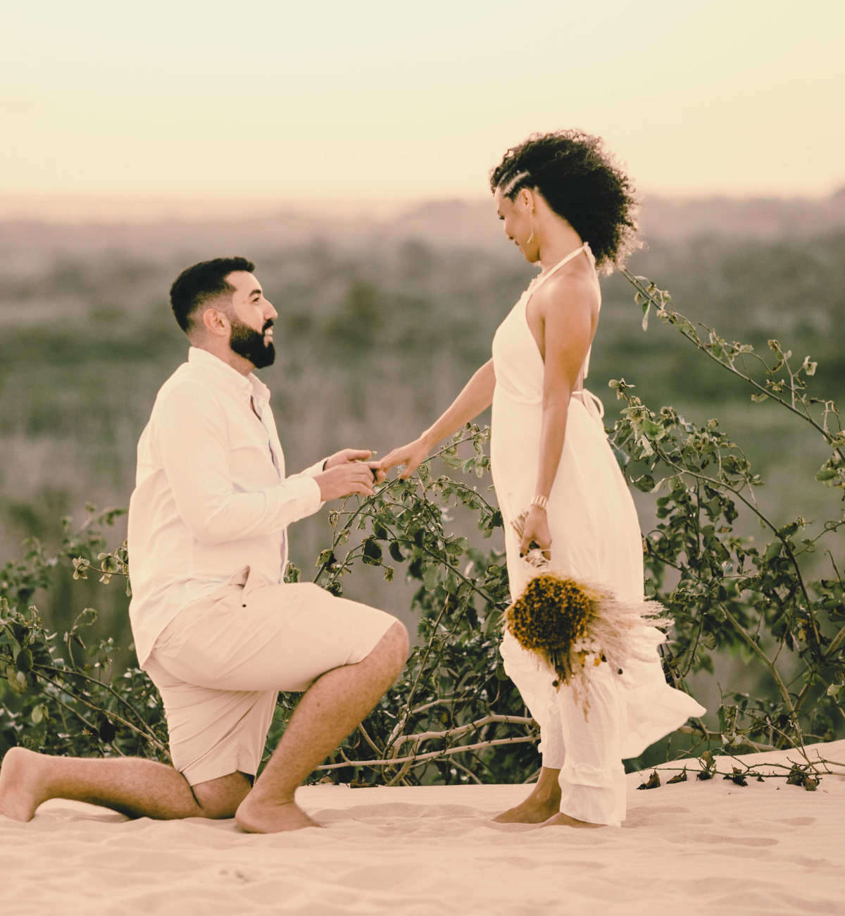 Engagement Party Bride's Dress