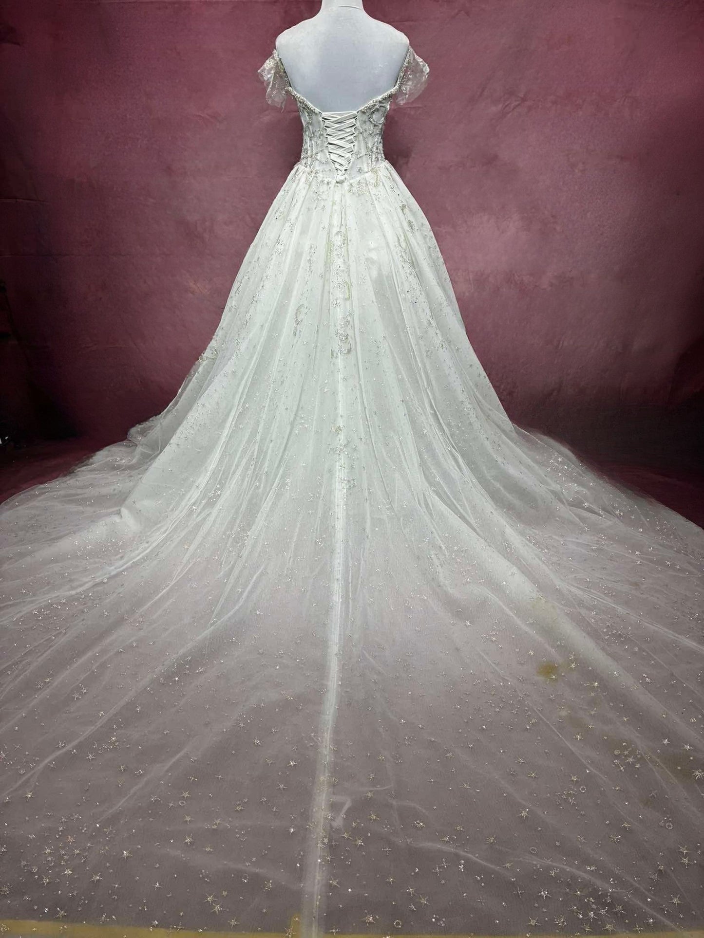 Aria Celestial Ball Gown Wedding Dress