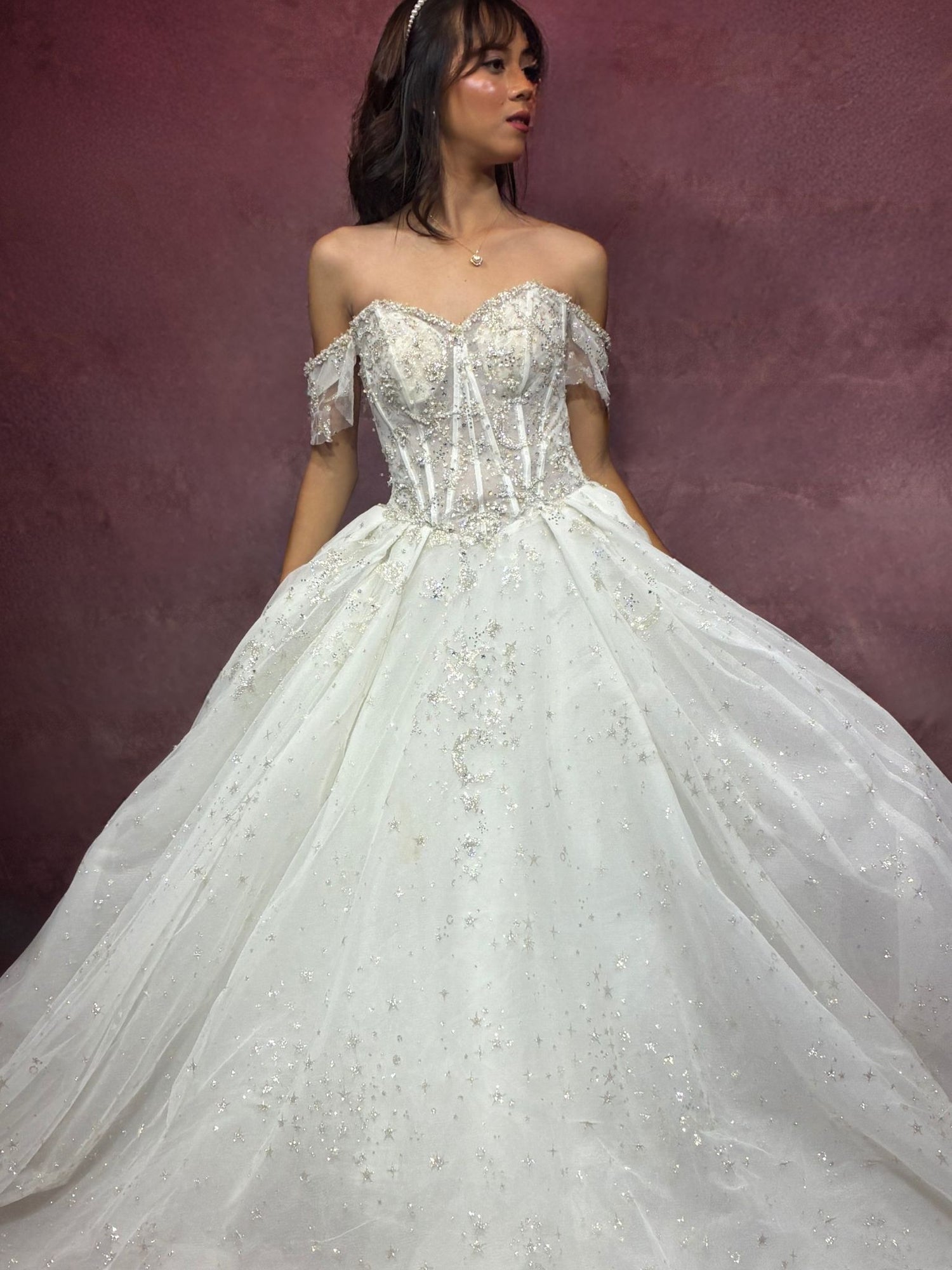 Aria Celestial Ball Gown Wedding Dress - ReBridal Wedding Dress