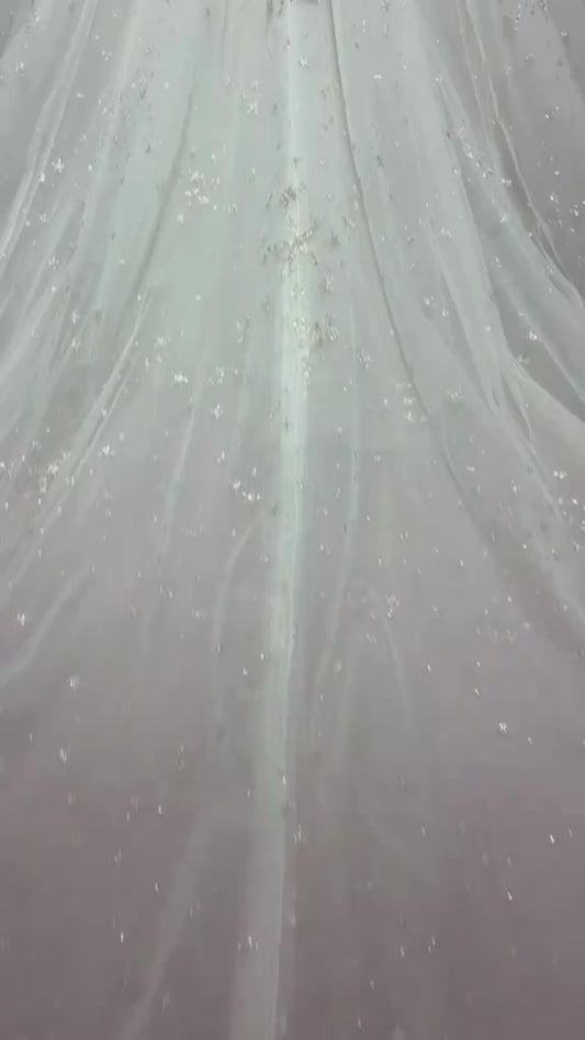 Aria Celestial Ball Gown Wedding Dress