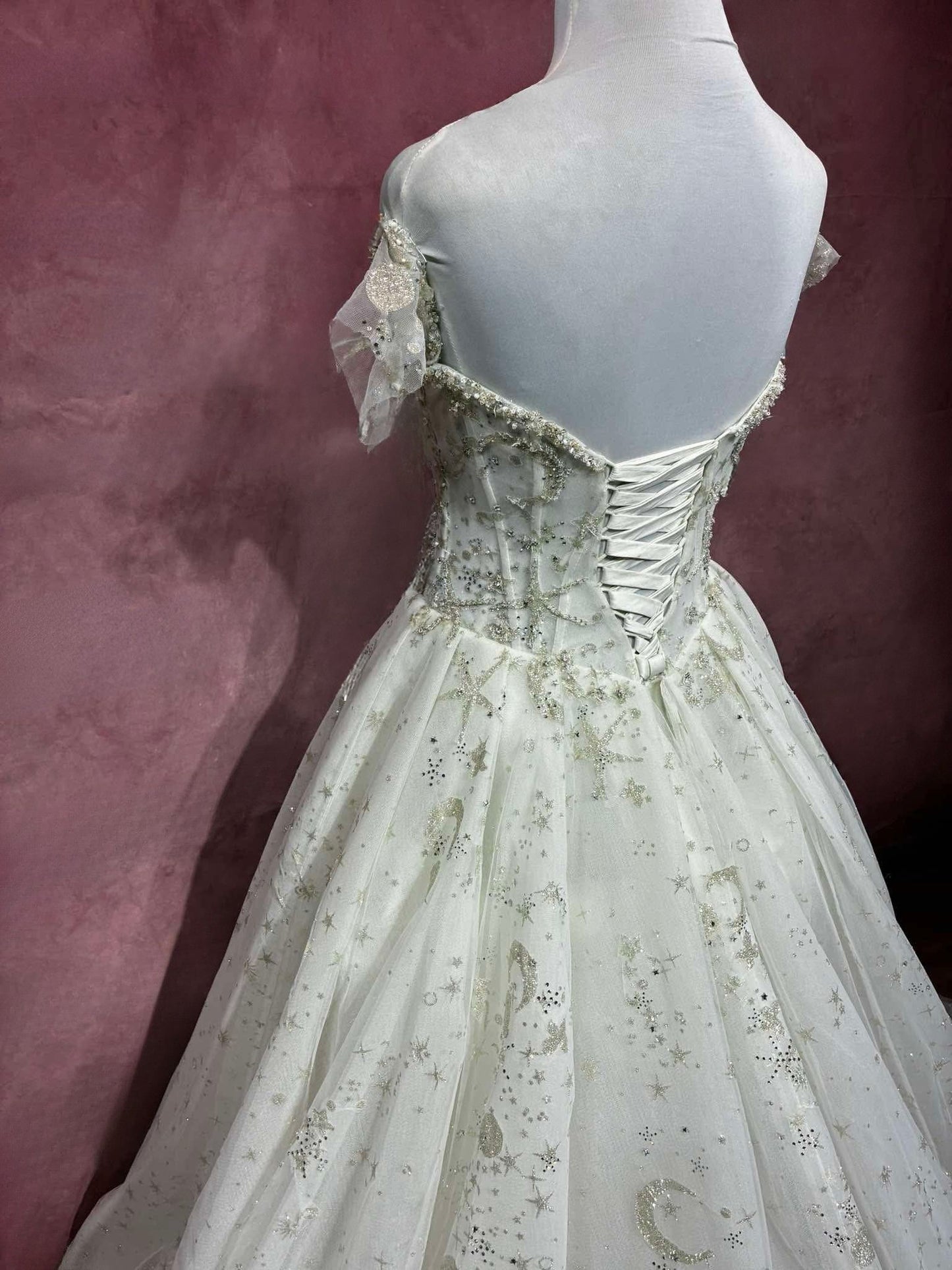 Aria Celestial Ball Gown Wedding Dress