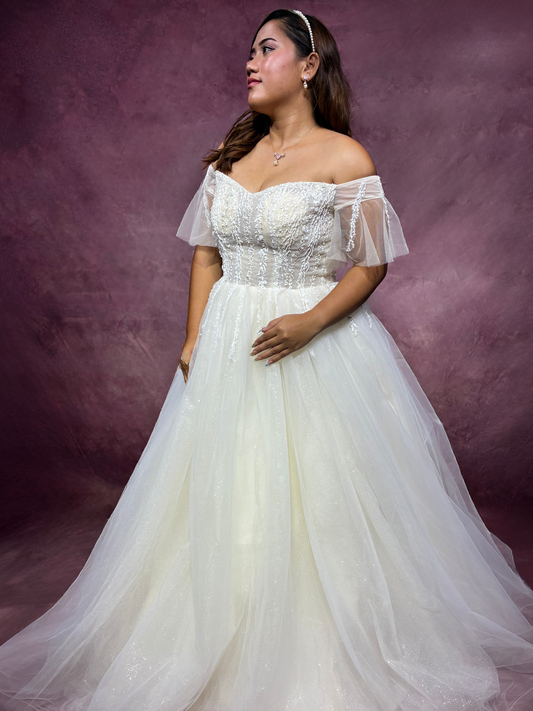Celeste Ball Gown Wedding Dress