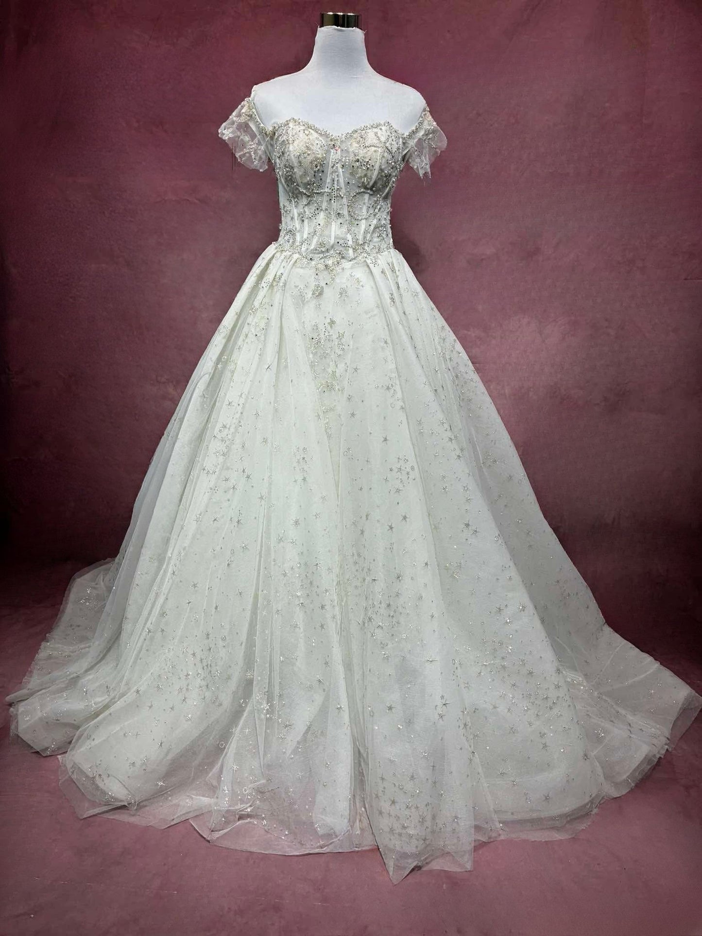 Aria Celestial Ball Gown Wedding Dress